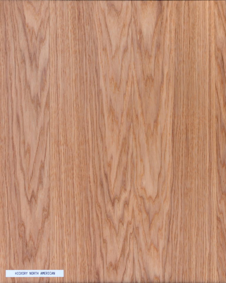 Hickory amerykański