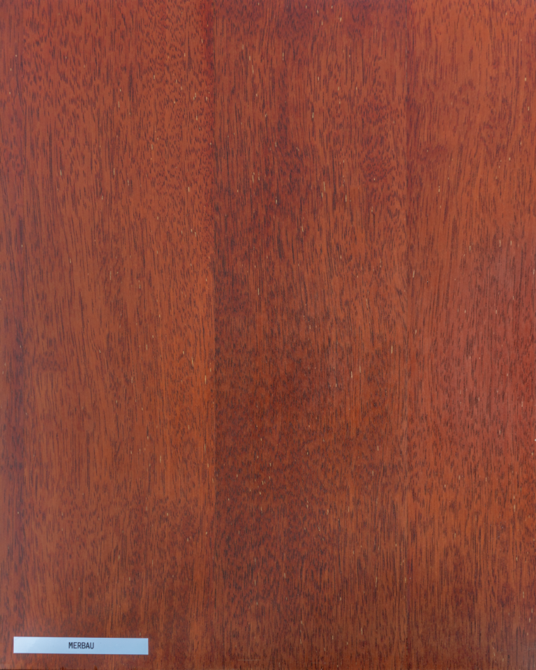 Merbau